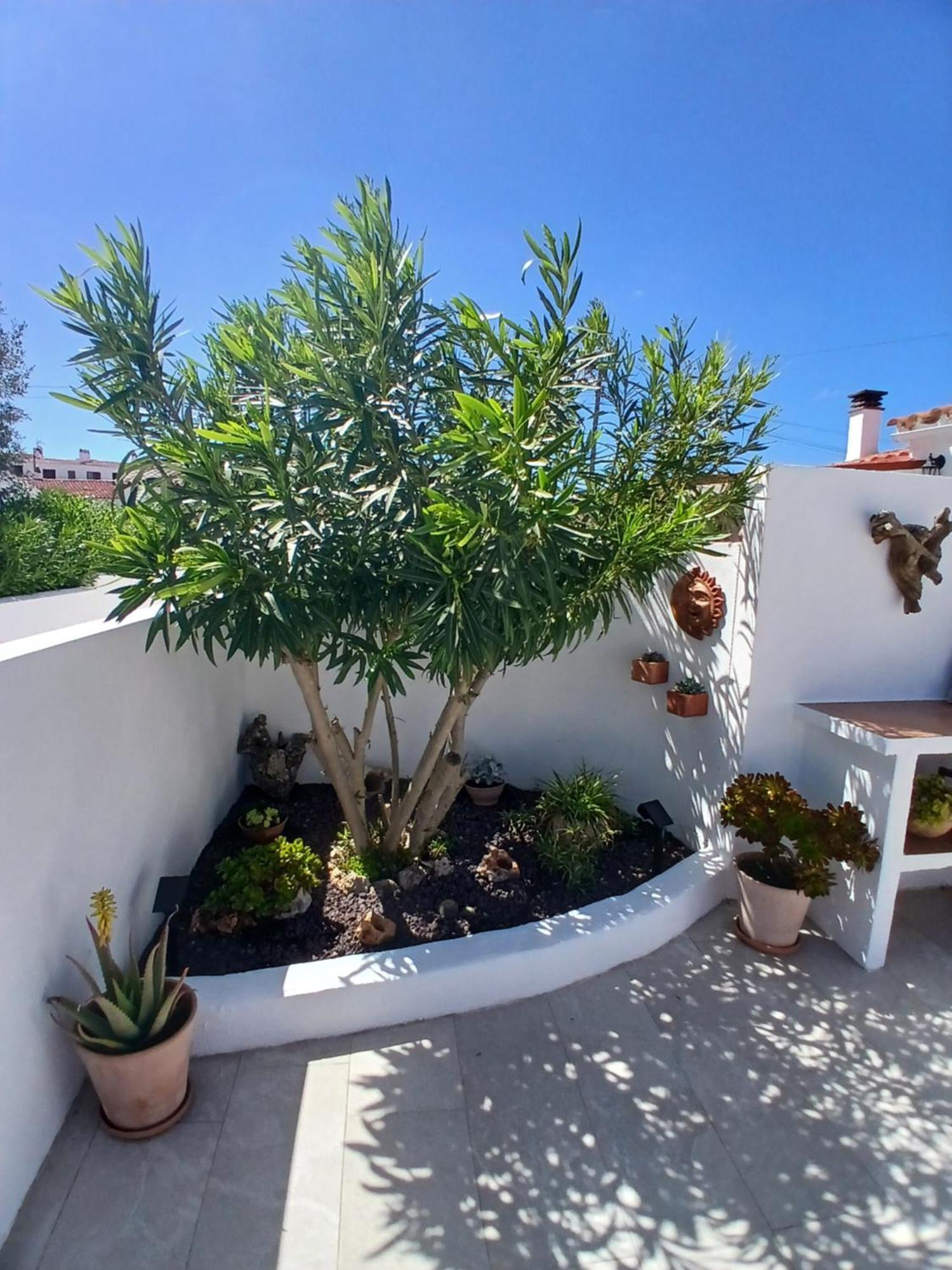 Tramontana Villa Cala En Porter  Exteriör bild